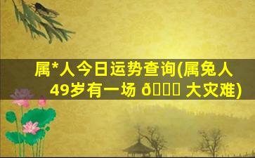 属*
人今日运势查询(属兔人49岁有一场 💐 大灾难)